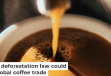 The beans that created this cup of coffee had a long journey. Guido Mieth/Moment via Getty Images